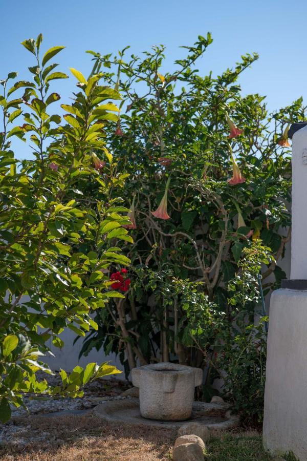 Los Anos Locos Conil De La Frontera Exterior foto